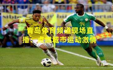 青岛体育频道现场直播：点燃城市运动激情