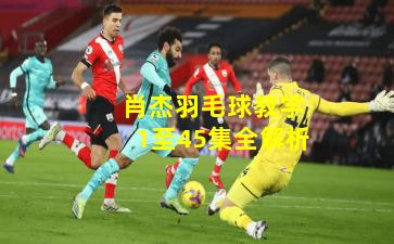 肖杰羽毛球教学1至45集全解析