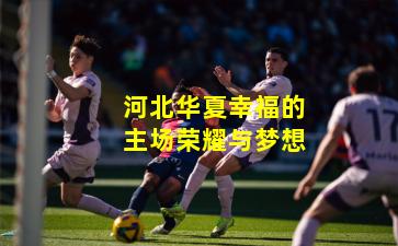 河北华夏幸福的主场荣耀与梦想