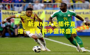 新浪NBA无插件直播:畅享纯净篮球盛宴