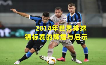 2014年世界排球锦标赛的辉煌与启示